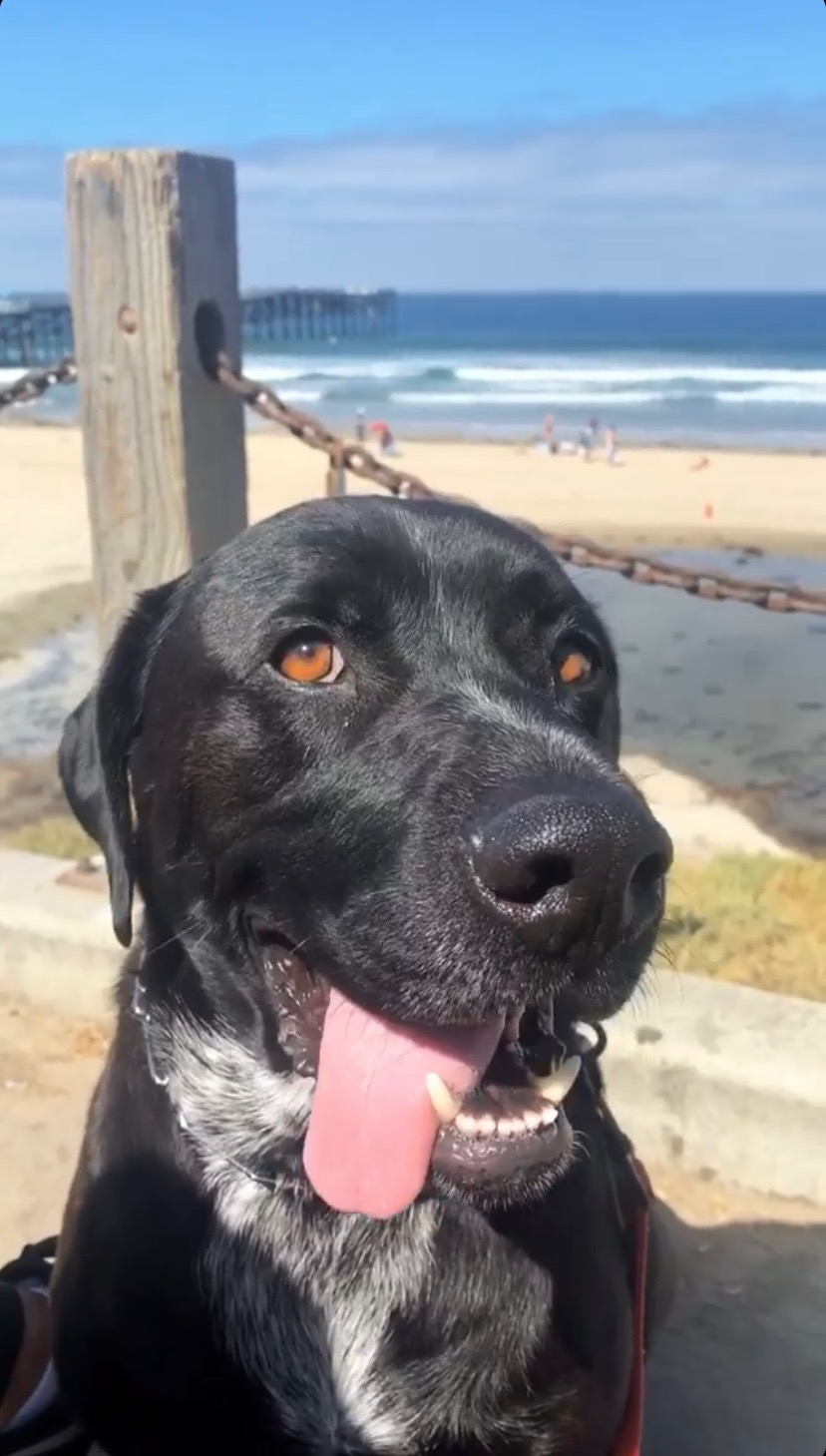 Bubba, Founder & Barista-in-Chief